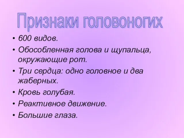 600 видов. Обособленная голова и щупальца, окружающие рот. Три сердца: одно головное