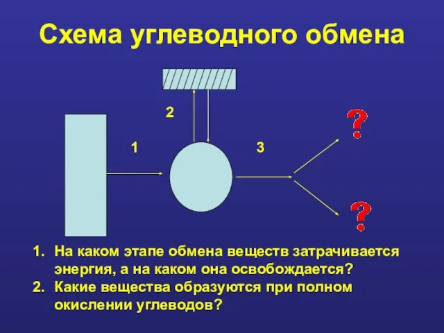 Схема углеводного обмена На каком этапе обмена веществ затрачивается энергия, а на