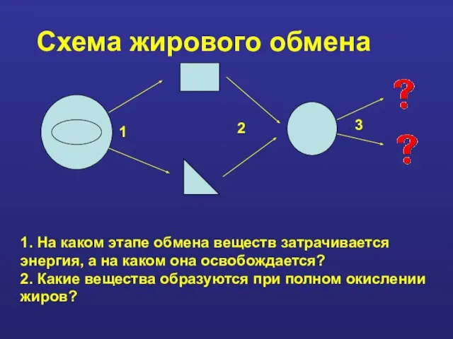 Схема жирового обмена 1. На каком этапе обмена веществ затрачивается энергия, а