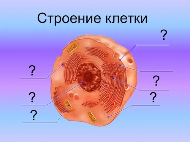 Строение клетки ? ? ? ? ? ?