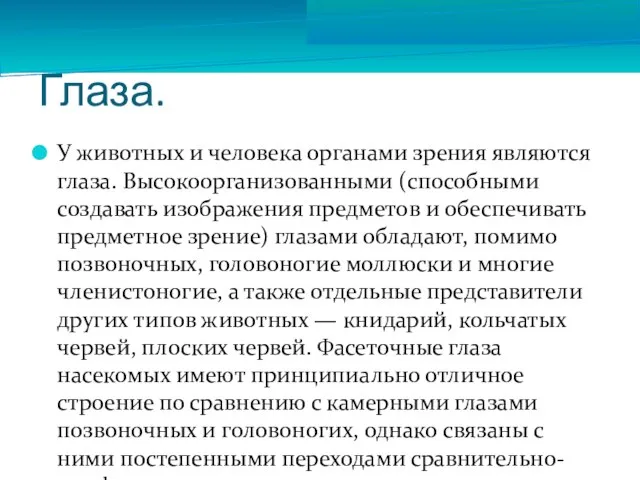 Глаза. У животных и человека органами зрения являются глаза. Высокоорганизованными (способными создавать