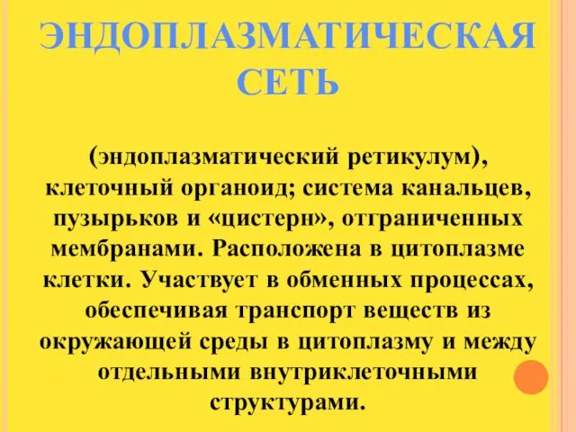 (эндоплазматический ретикулум), клеточный органоид; система канальцев, пузырьков и «цистерн», отграниченных мембранами. Расположена