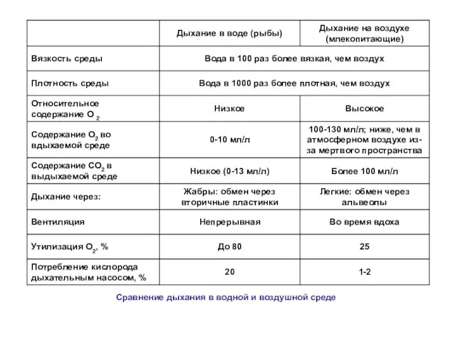 Сравнение дыхания в водной и воздушной среде