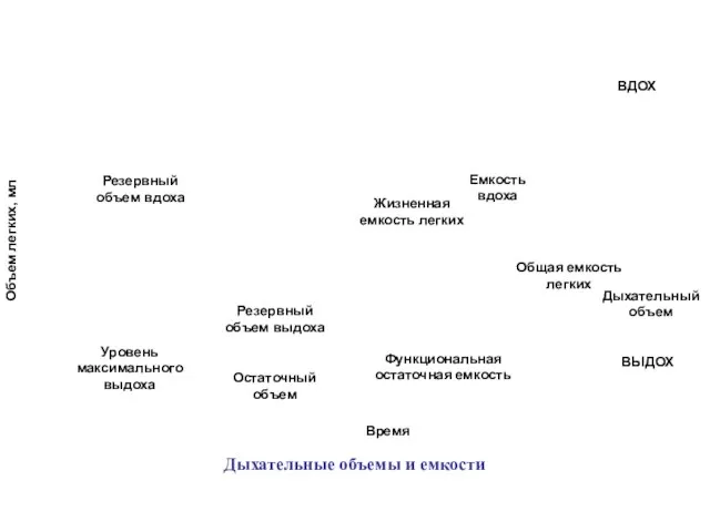 Резервный объем вдоха Резервный объем выдоха Общая емкость легких Жизненная емкость легких