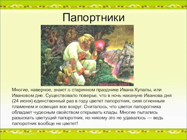 Папортники Многие, наверное, знают о старинном празднике Ивана Купалы, или Ивановом дне.