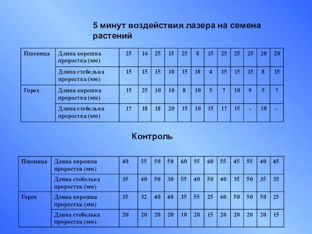 5 минут воздействия лазера на семена растений Контроль