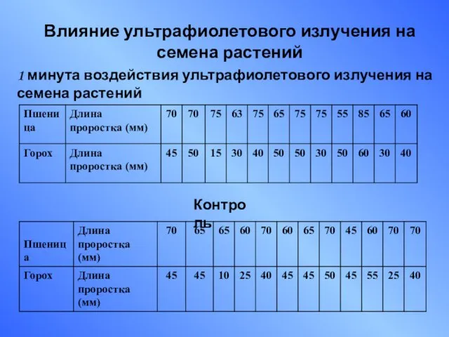 Влияние ультрафиолетового излучения на семена растений 1 минута воздействия ультрафиолетового излучения на семена растений Контроль