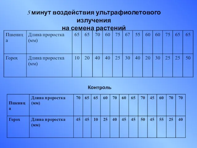 5 минут воздействия ультрафиолетового излучения на семена растений Контроль