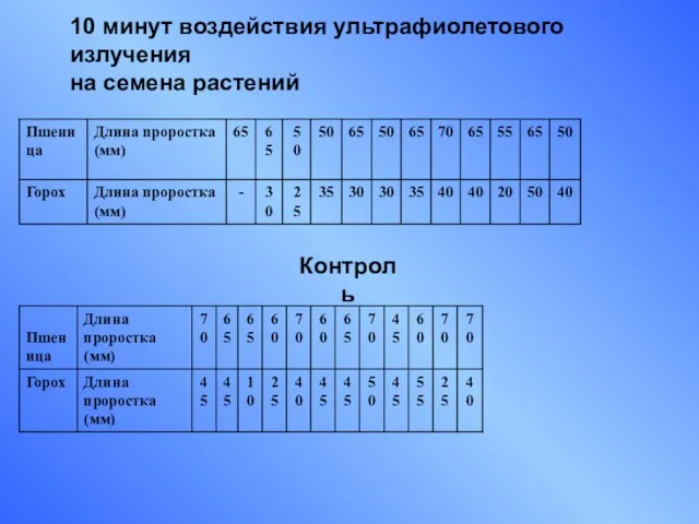 10 минут воздействия ультрафиолетового излучения на семена растений Контроль