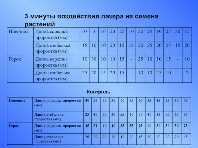 3 минуты воздействия лазера на семена растений Контроль