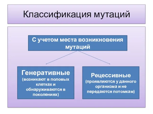 Классификация мутаций С учетом места возникновения мутаций Генеративные (возникают в половых клетках