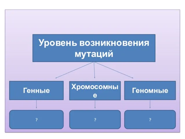 Уровень возникновения мутаций Генные Геномные Хромосомные ? ? ?