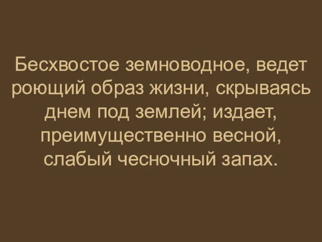 Бесхвостое земноводное, ведет роющий образ жизни, скрываясь днем под землей; издает, преимущественно весной, слабый чесночный запах.