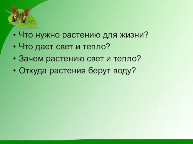 Что нужно растению для жизни? Что дает свет и тепло? Зачем растению