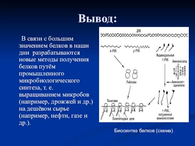 Вывод: В связи с большим значением белков в наши дни разрабатываются новые