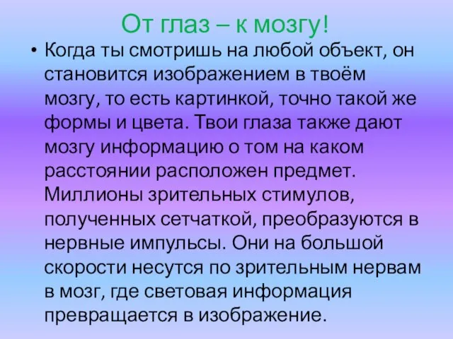 От глаз – к мозгу! Когда ты смотришь на любой объект, он