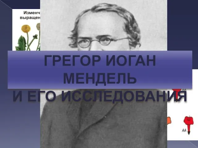 Грегор иоган мендель И его исследования