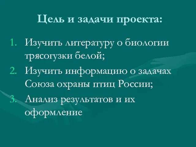 Цель и задачи проекта: Изучить литературу о биологии трясогузки белой; Изучить информацию