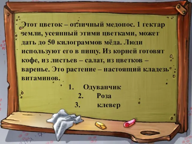 Этот цветок – отличный медонос. 1 гектар земли, усеянный этими цветками, может