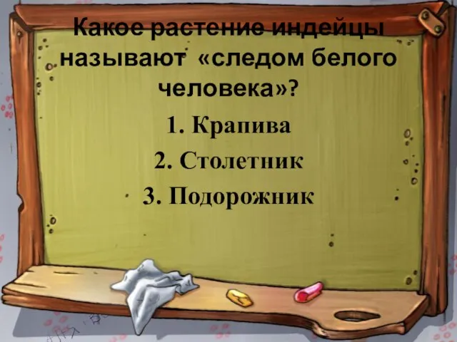 Какое растение индейцы называют «следом белого человека»? 1. Крапива 2. Столетник 3. Подорожник