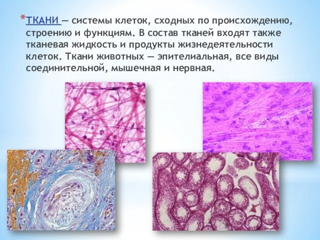 ТКАНИ — системы клеток, сходных по происхождению, строению и функциям. В состав