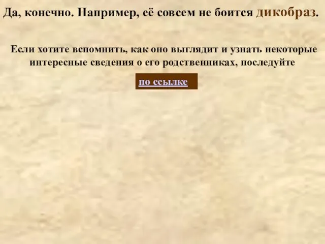 Да, конечно. Например, её совсем не боится дикобраз. по ссылке Если хотите