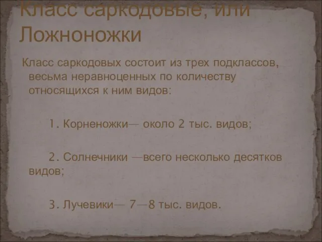 Класс саркодовых состоит из трех подклассов, весьма неравноценных по количеству относящихся к