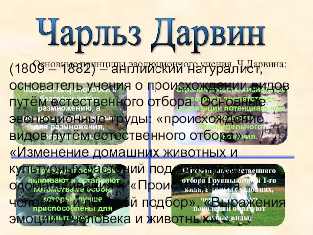 4 3 2 1 Чарльз Дарвин Основные принципы эволюционного учения Ч.Дарвина: Каждый