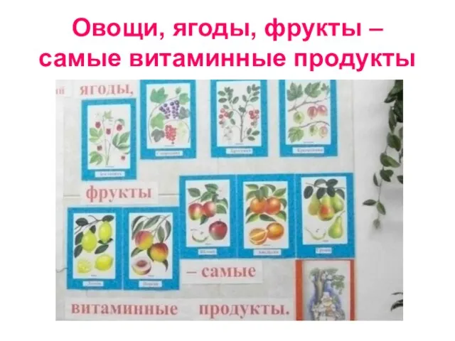 Овощи, ягоды, фрукты – самые витаминные продукты