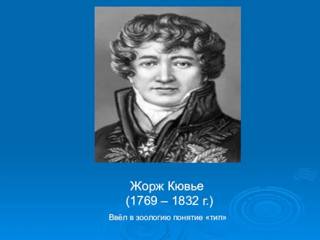 Жорж Кювье (1769 – 1832 г.) Ввёл в зоологию понятие «тип»