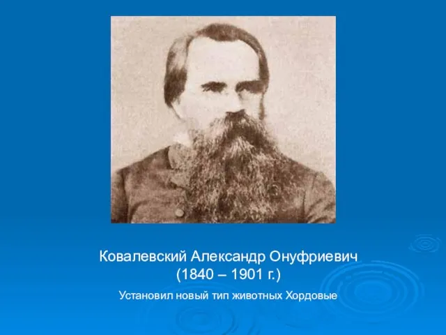 Ковалевский Александр Онуфриевич (1840 – 1901 г.) Установил новый тип животных Хордовые