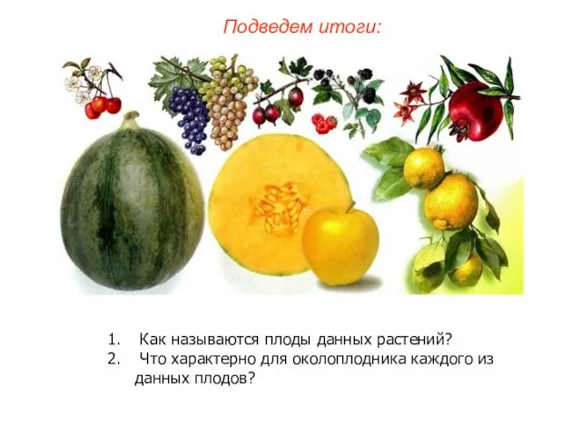 Как называются плоды данных растений? Что характерно для околоплодника каждого из данных плодов? Подведем итоги: