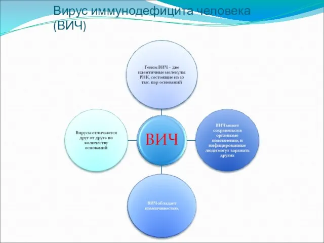 Вирус иммунодефицита человека (ВИЧ)