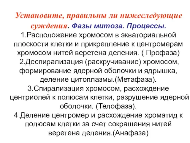 Установите, правильны ли нижеследующие суждения. Фазы митоза. Процессы. 1.Расположение хромосом в экваториальной