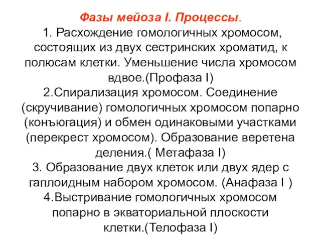 Фазы мейоза I. Процессы. 1. Расхождение гомологичных хромосом, состоящих из двух сестринских