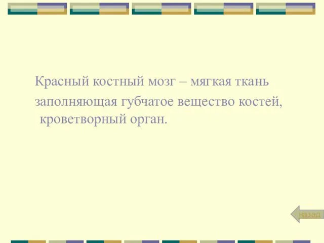 Красный костный мозг – мягкая ткань заполняющая губчатое вещество костей, кроветворный орган. назад