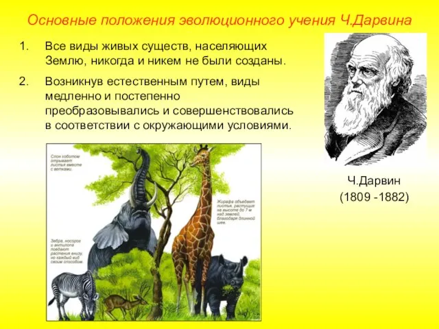 Основные положения эволюционного учения Ч.Дарвина Ч.Дарвин (1809 -1882) Все виды живых существ,