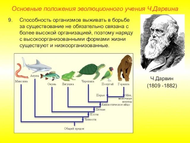 Основные положения эволюционного учения Ч.Дарвина Ч.Дарвин (1809 -1882) Способность организмов выживать в