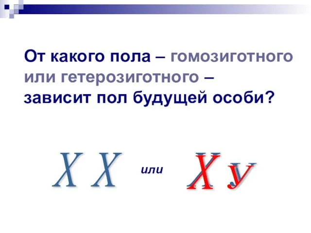 От какого пола – гомозиготного или гетерозиготного – зависит пол будущей особи?