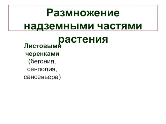 Размножение надземными частями растения Листовыми черенками (бегония, сенполия, сансевьера)