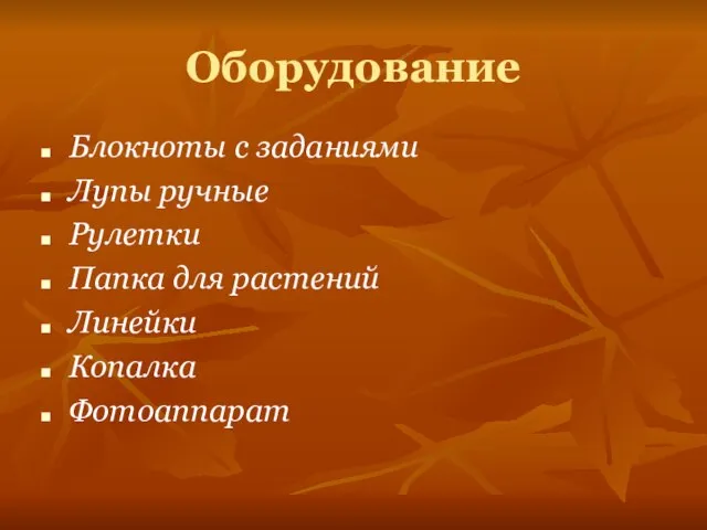 Оборудование Блокноты с заданиями Лупы ручные Рулетки Папка для растений Линейки Копалка Фотоаппарат