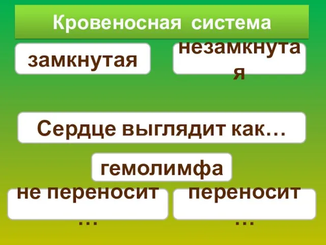 Кровеносная система замкнутая гемолимфа незамкнутая Сердце выглядит как… переносит … не переносит …