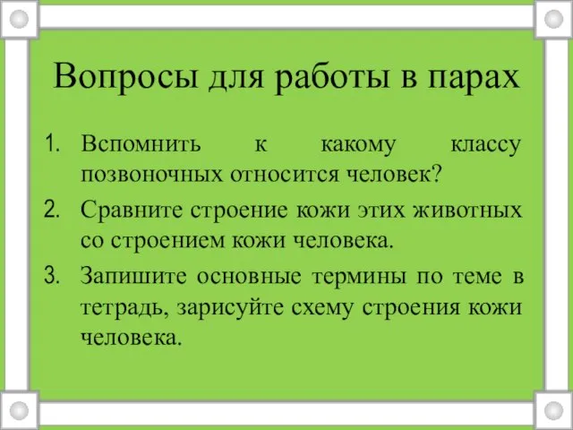 Вопросы для работы в парах Вспомнить к какому классу позвоночных относится человек?