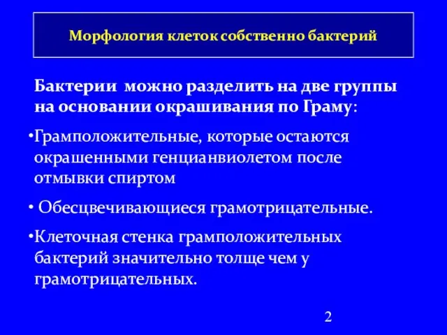 Морфология клеток собственно бактерий Бактерии можно разделить на две группы на основании