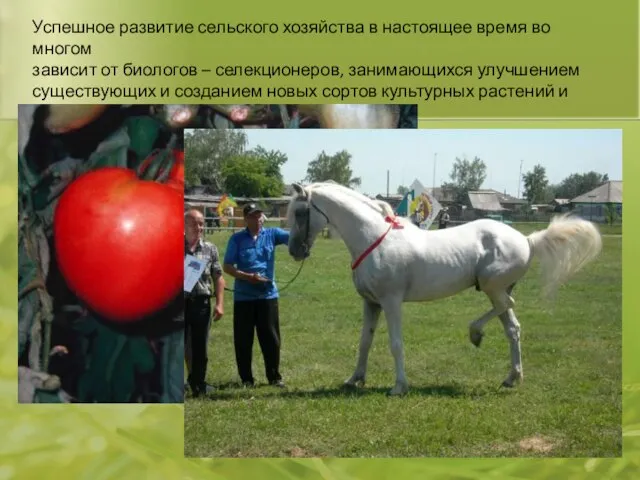 Успешное развитие сельского хозяйства в настоящее время во многом зависит от биологов