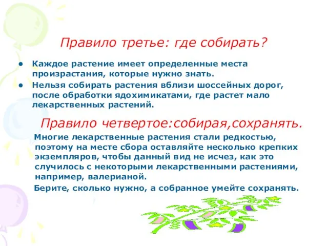 Правило третье: где собирать? Каждое растение имеет определенные места произрастания, которые нужно