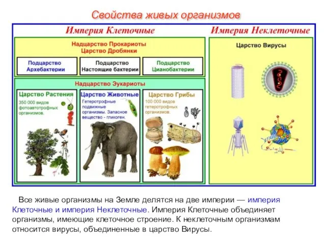 Все живые организмы на Земле делятся на две империи — империя Клеточные