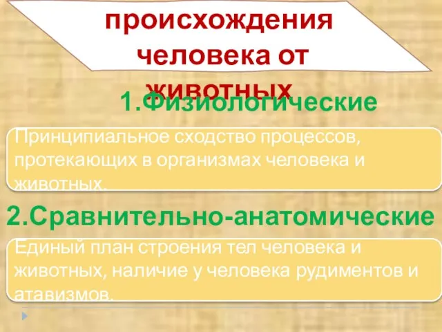 Доказательства происхождения человека от животных 1.Физиологические Принципиальное сходство процессов, протекающих в организмах