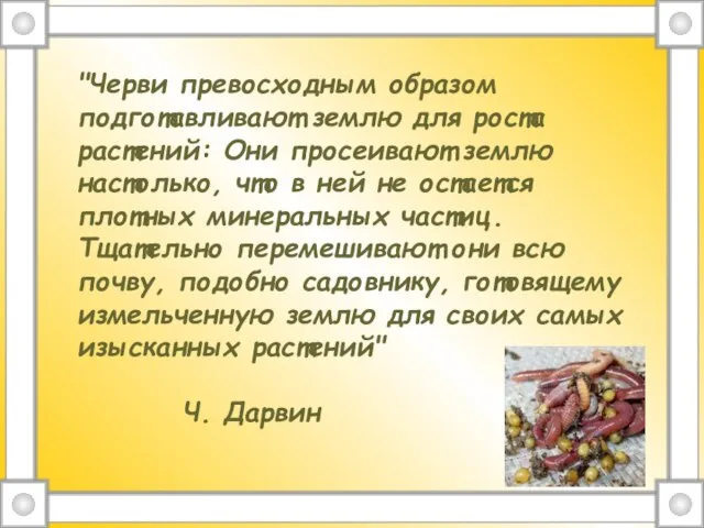 "Черви превосходным образом подготавливают землю для роста растений: Они просеивают землю настолько,