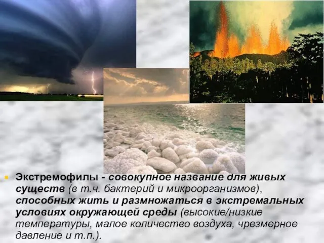 Экстремофилы - совокупное название для живых существ (в т.ч. бактерий и микроорганизмов),